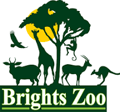 Brights Zoo Logo
