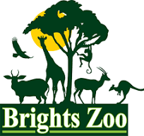 Brights Zoo Logo